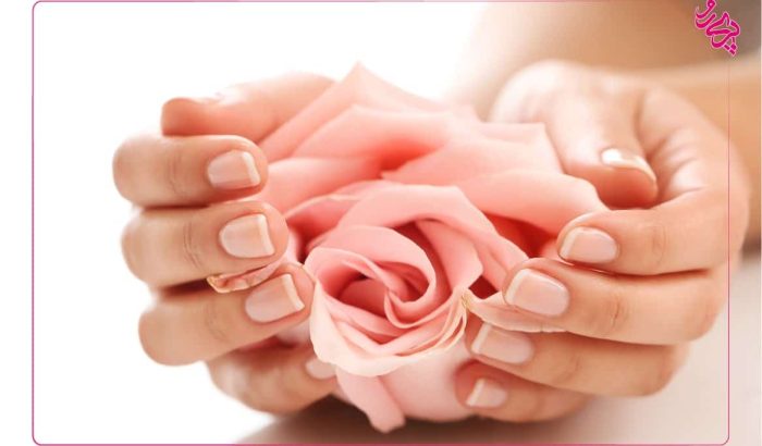 best_nail_artists-05 بهترین ناخن کار ایران | پری رو